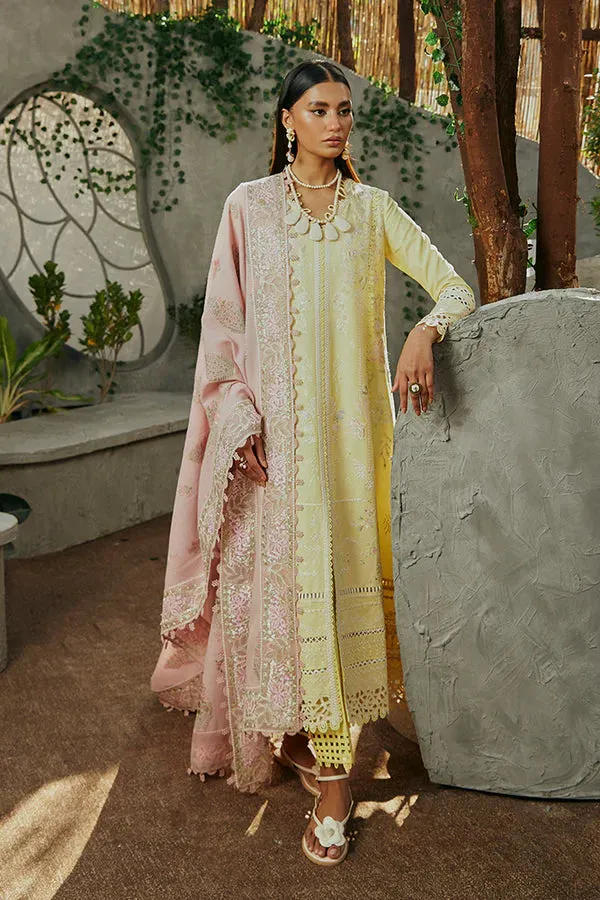 Casual Pret '24 - Amriti