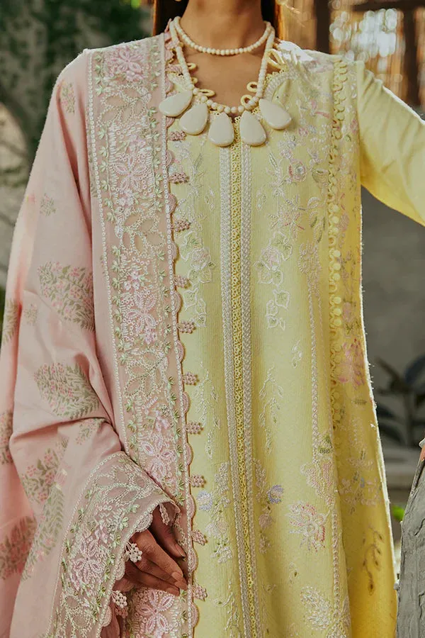 Casual Pret '24 - Amriti