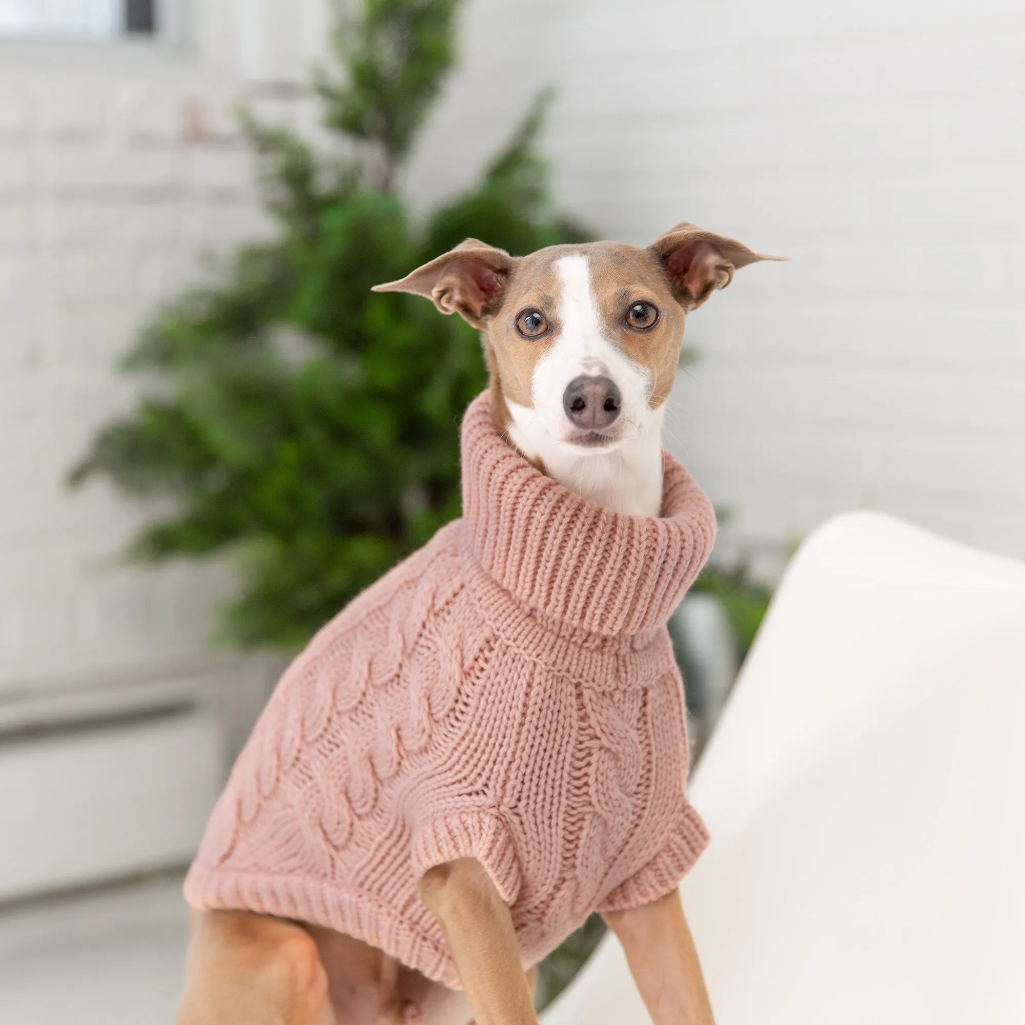 Chalet Dog Sweater Pink