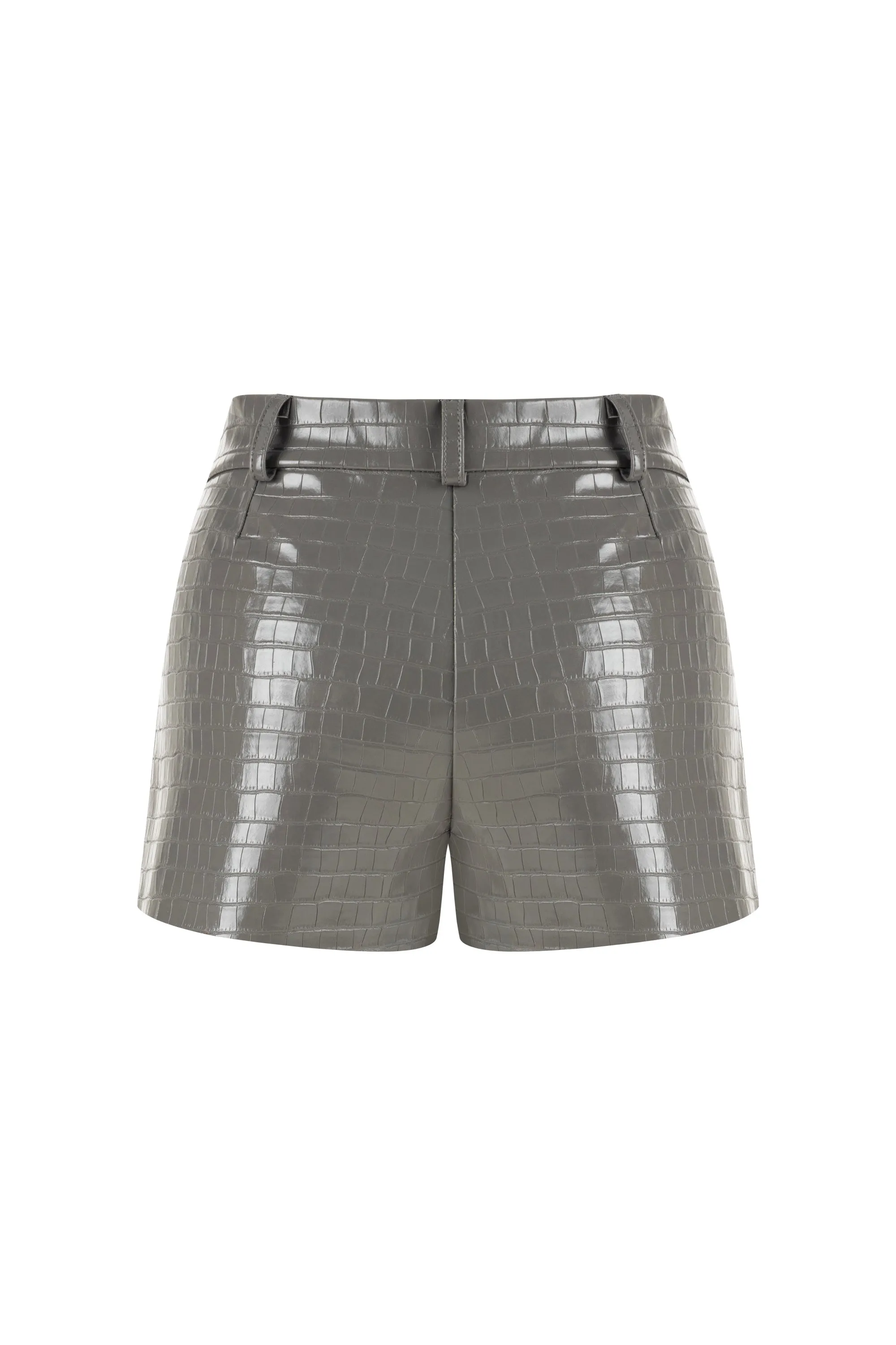 High Waisted Mini Shorts